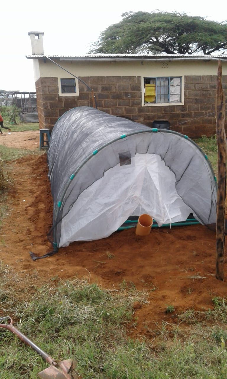Plastic-covered tunnel structure next to a building